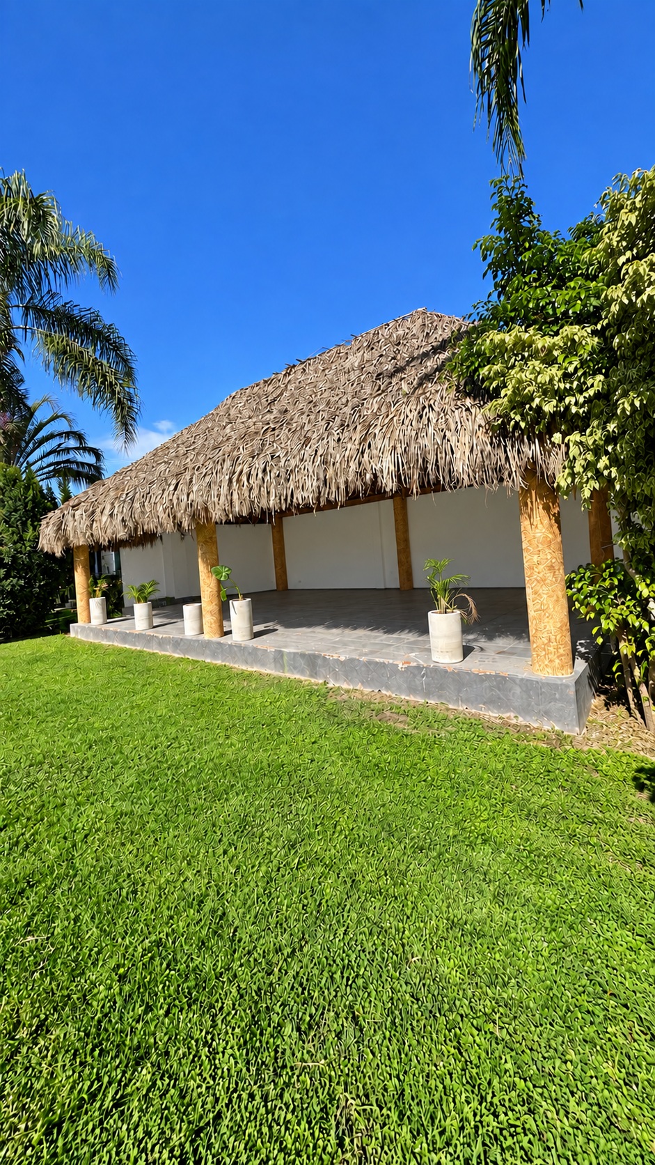 Exterior de la palapa